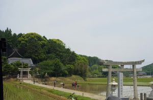 海士町田植え風景20170523
